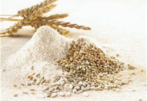 常熟小麦淀粉批发